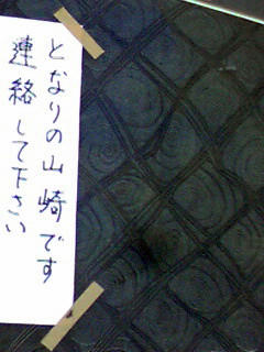 zaki804.jpg