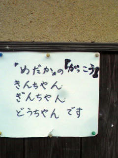 111010_1708~01.jpg