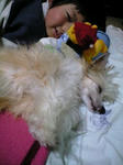 yuki2