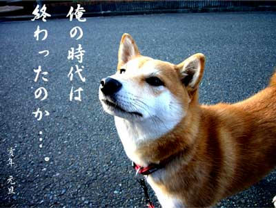 戌年は去った