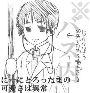 ナニコレ可愛い