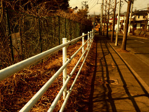 通学路