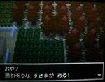 ポケモンbw2の めざめいし ていま ず日記