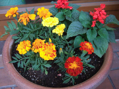 DSCF2081.JPG