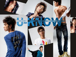 u-know-evis-1.jpg