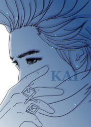 kai2-4.jpg