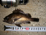 2010_6_30.jpg