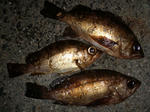 2012_3_21.jpg