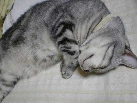 IMGP5907.JPG