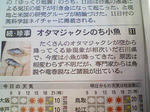 朝日新聞６月１１日朝刊