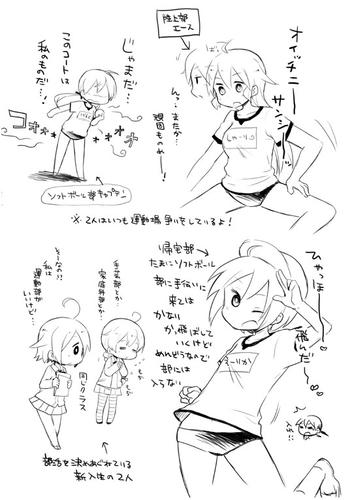 p4.jpg