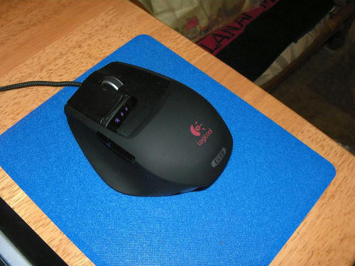 G9a.JPG