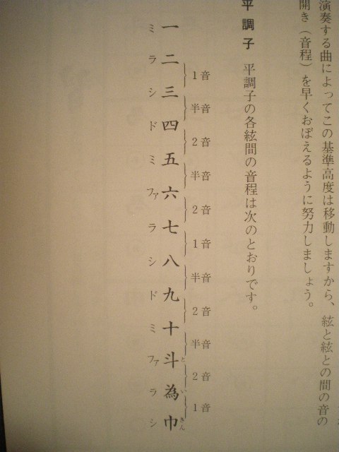 弦の名前 コトノハ