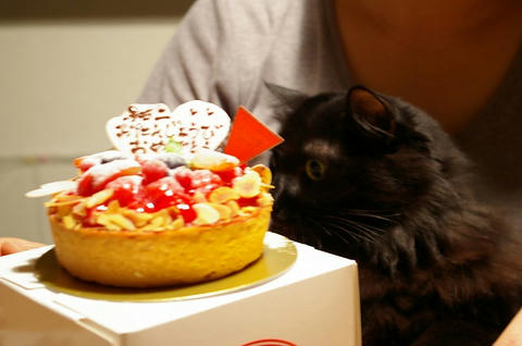 39 birthday zizi