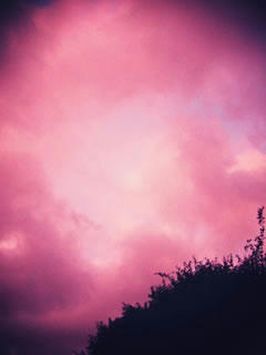 toycam_IMG_0011.JPG_effected.jpg