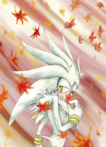 sil-momiji.jpg