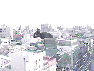 gokaiA1.gif