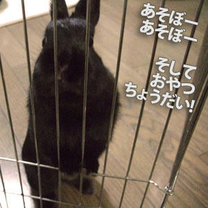 090106U.jpg