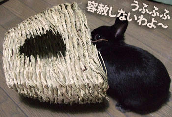 090108b.jpg