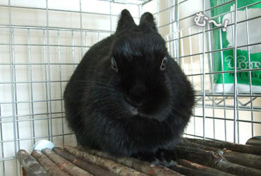 090127b.jpg