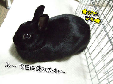 DSCF0999.jpg