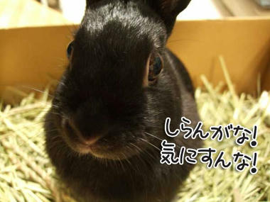 DSCF1026.jpg