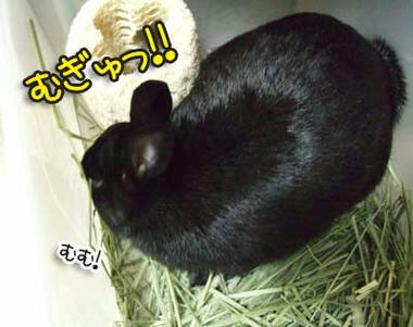 DSCF1005.jpg