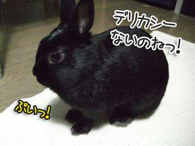 DSCF1076.jpg