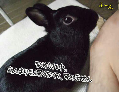 f00b2874.jpg