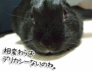 DSCF1129.jpg