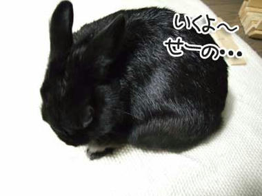 DSCF1148.jpg