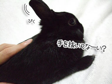 DSCF1223.jpg