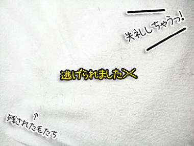 DSCF1229.jpg
