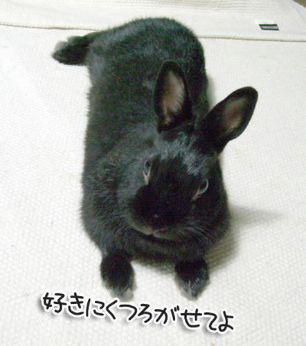 DSCF1382.jpg