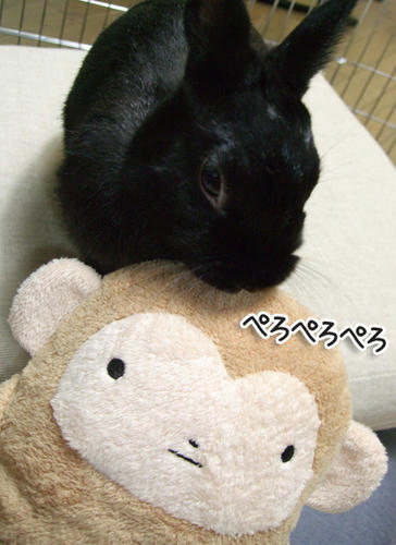DSCF1414.jpg