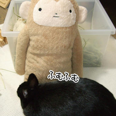 DSCF1411.jpg