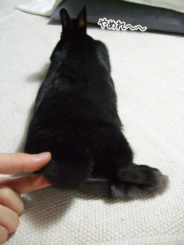 DSCF1376.jpg