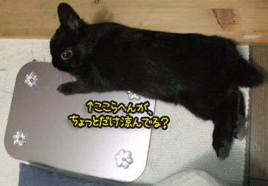 DSCF1427.jpg