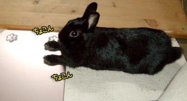 DSCF1438.jpg