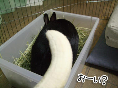 DSCF1496.jpg