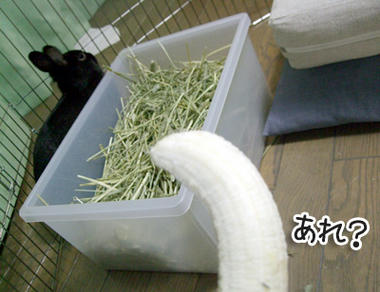 DSCF1494.jpg