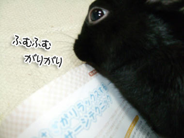 DSCF1455.jpg