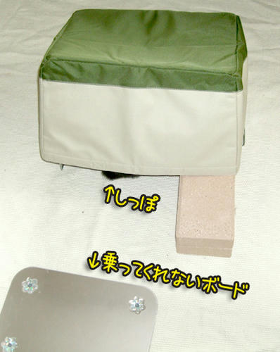 DSCF1642.jpg