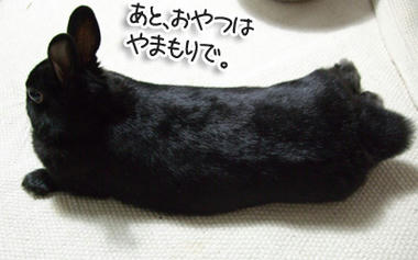 DSCF1374.jpg