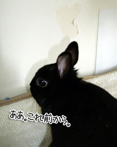 DSCF1507.jpg