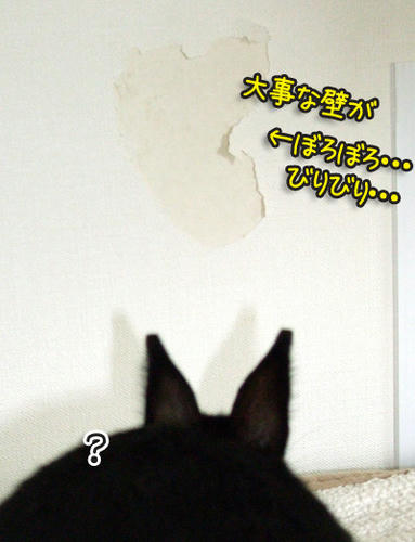DSCF1505.jpg