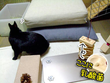 DSCF1743.jpg