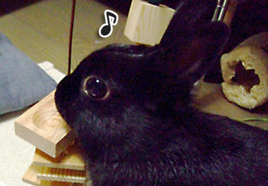DSCF1737.jpg