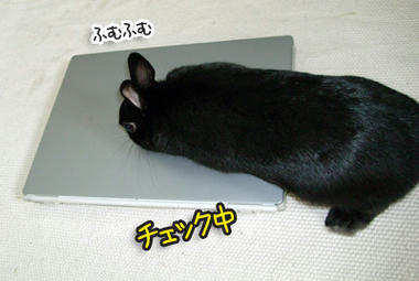 DSCF1793.jpg