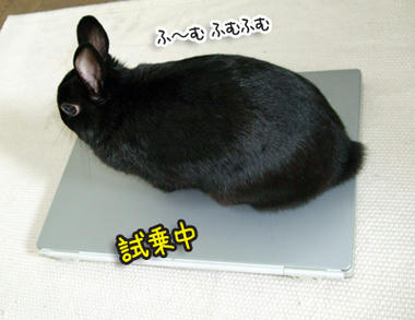 DSCF1794.jpg